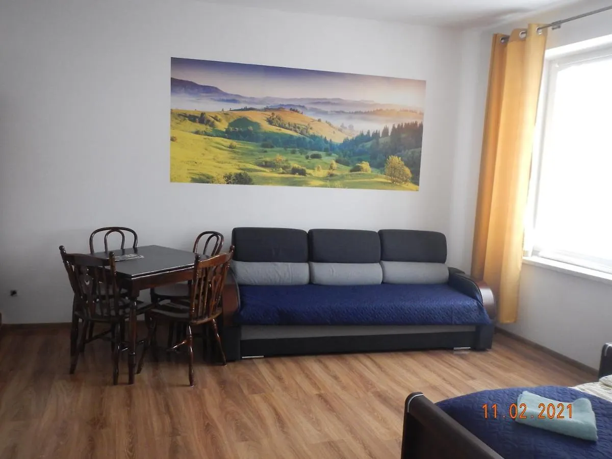 公寓 Apartament Providentia Zakopane Witkiewicza 3