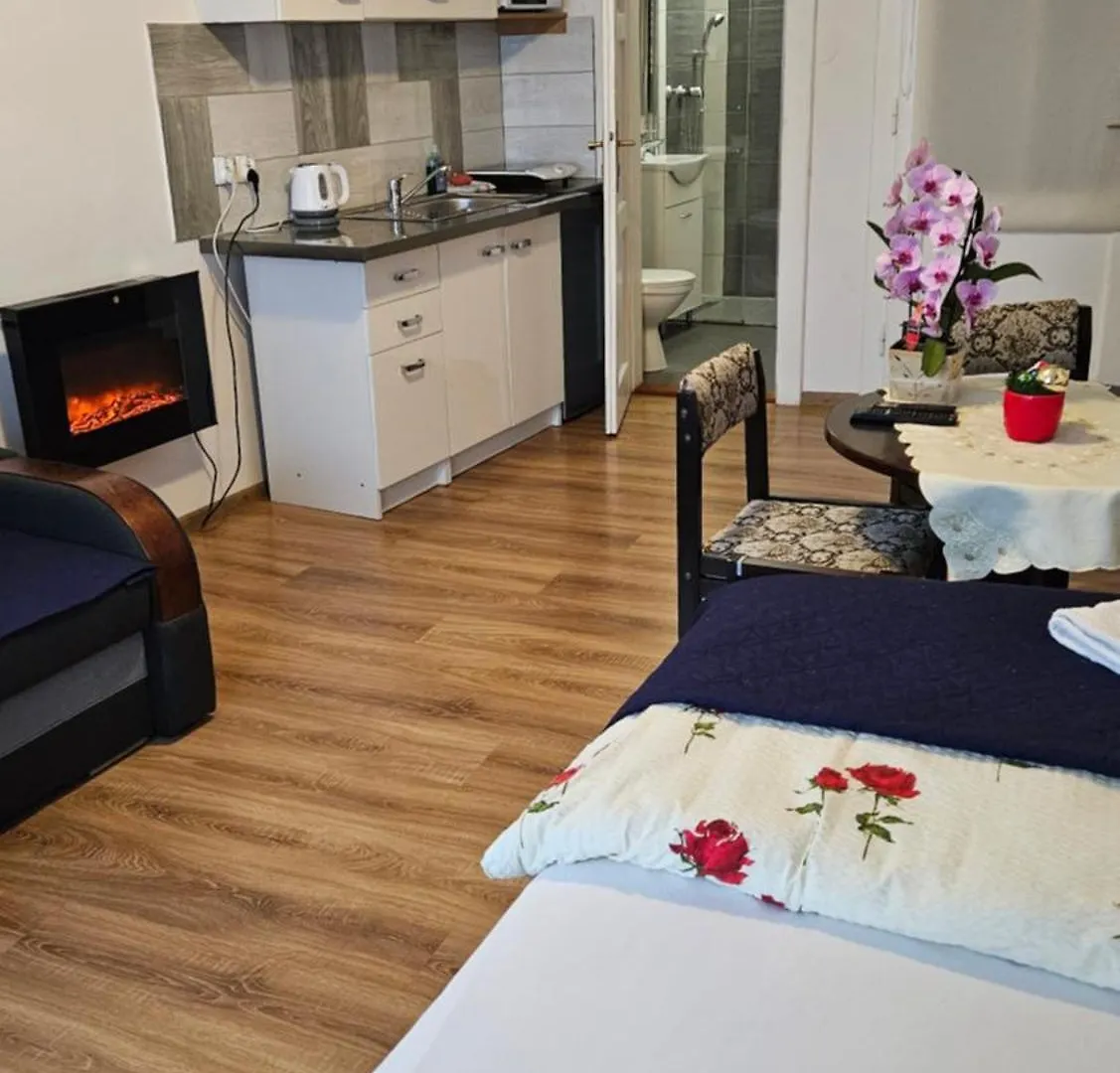 Apartament Providentia Zakopane Witkiewicza 3